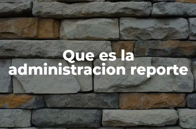 Que es la Administracion Reporte 2 La importancia de la gestión de información en las organizaciones
