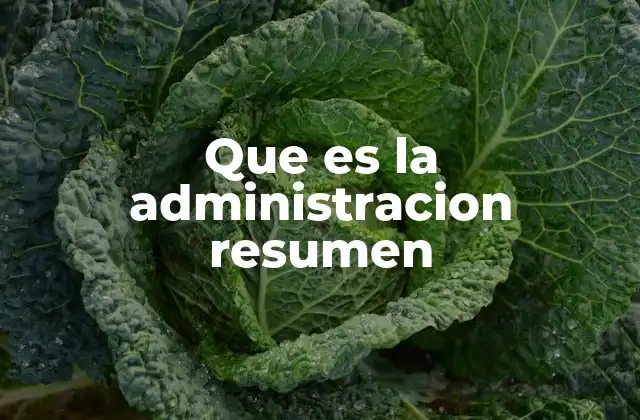 Que es la Administracion Resumen