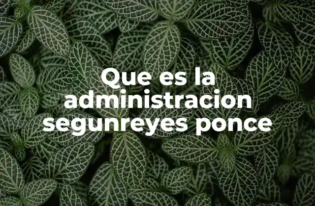 Que es la Administracion Segunreyes Ponce