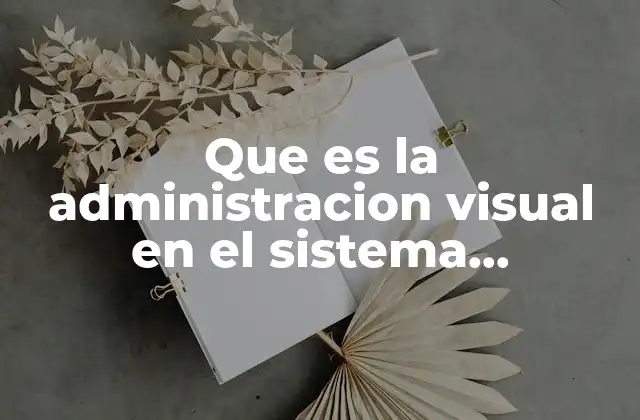 Que es la Administracion Visual en el Sistema Moderniza 2 La importancia de la visualización en la gestión moderna