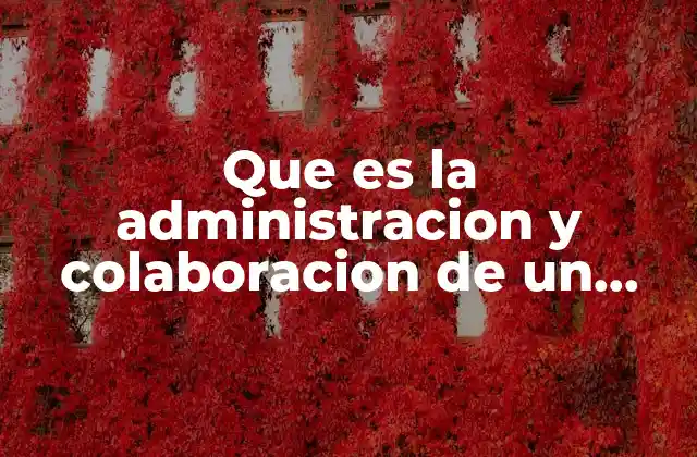 Que es la Administracion y Colaboracion de un Proyecto