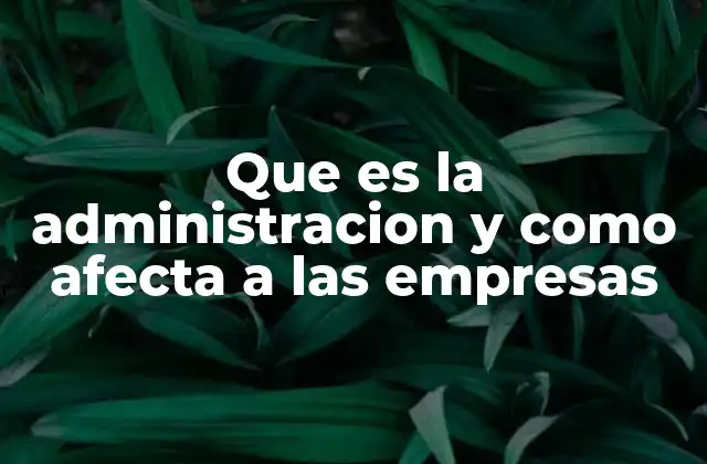Que es la Administracion y como Afecta a las Empresas 2 El impacto de la gestión eficiente en el crecimiento empresarial