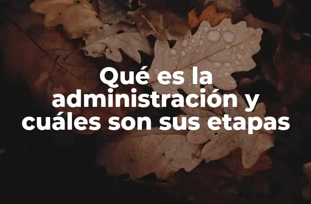 Qué es la Administración y Cuáles Son Sus Etapas
