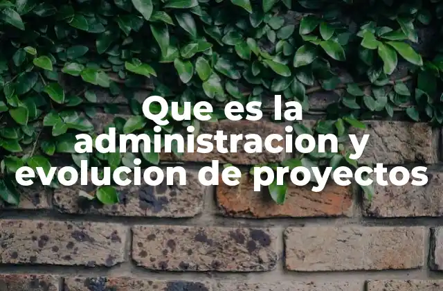 Que es la Administracion y Evolucion de Proyectos
