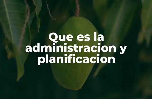 Que es la Administracion y Planificacion