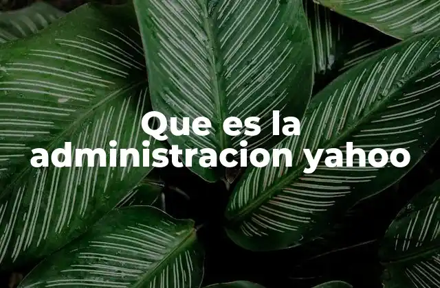 Que es la Administracion Yahoo