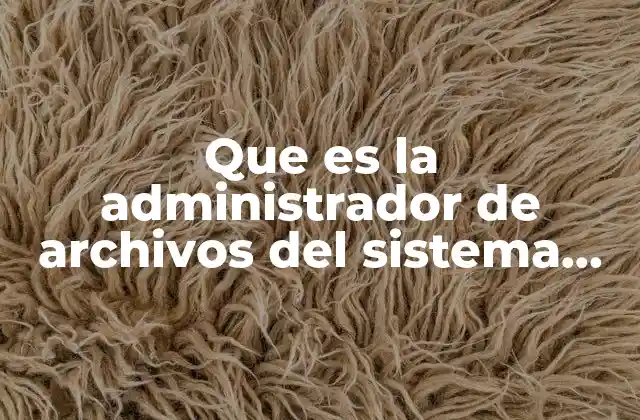 Que es la Administrador de Archivos Del Sistema Operativo