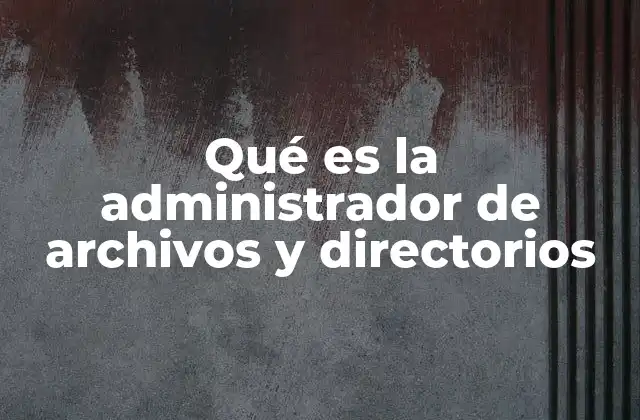 Qué es la Administrador de Archivos y Directorios