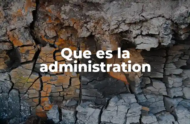 La gestión eficiente como pilar de la organización