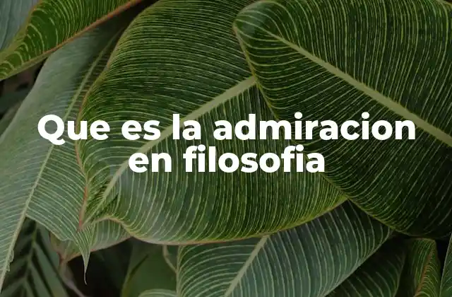 Que es la Admiracion en Filosofia