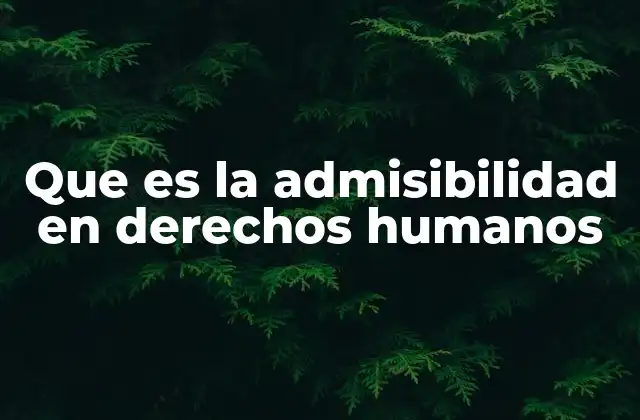 Que es la Admisibilidad en Derechos Humanos