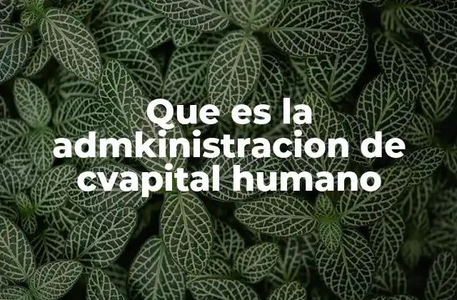 Que es la Admkinistracion de Cvapital Humano