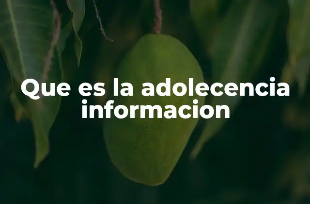 Que es la Adolecencia Informacion