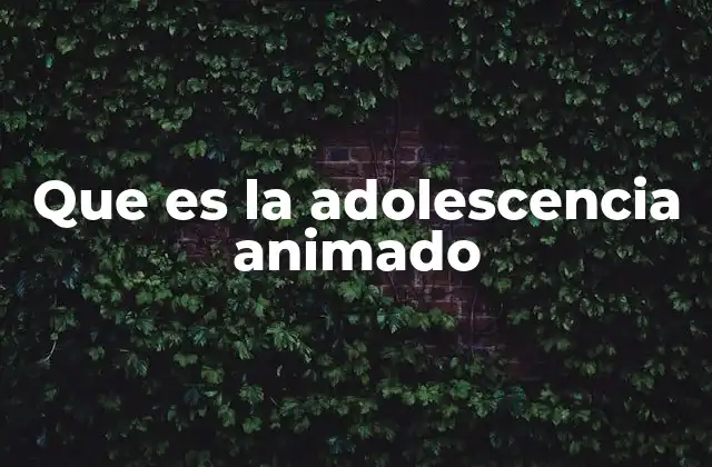 Que es la Adolescencia Animado 2 Cómo se representa la transición de la niñez a la juventud en la animación