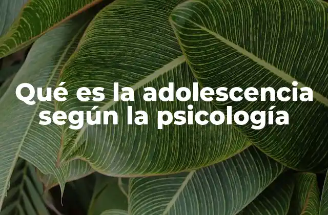 Qué es la Adolescencia según la Psicología