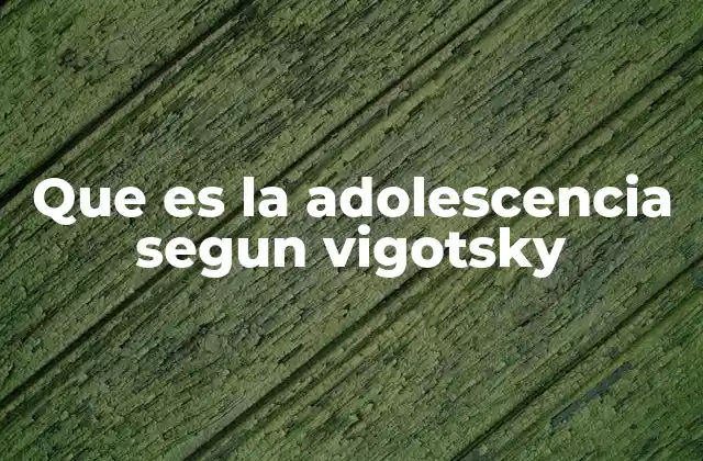 Que es la Adolescencia Segun Vigotsky