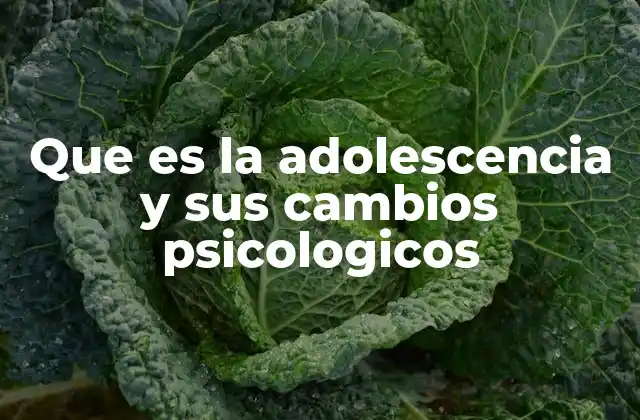 Que es la Adolescencia y Sus Cambios Psicologicos