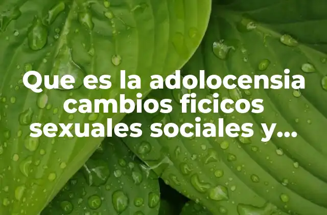 Que es la Adolocensia Cambios Ficicos Sexuales Sociales y Sicolofico