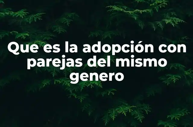 Que es la Adopción con Parejas Del Mismo Genero