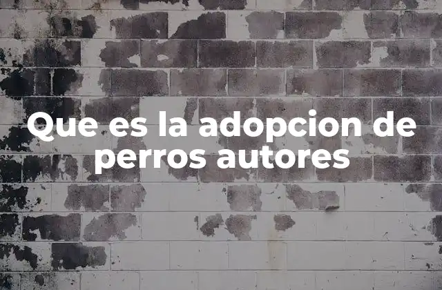 Que es la Adopcion de Perros Autores