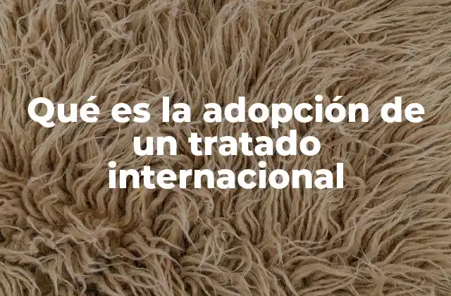 Qué es la Adopción de un Tratado Internacional