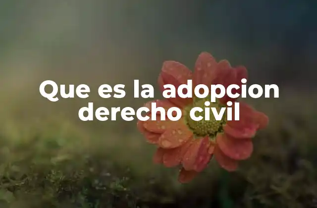 Que es la Adopcion Derecho Civil