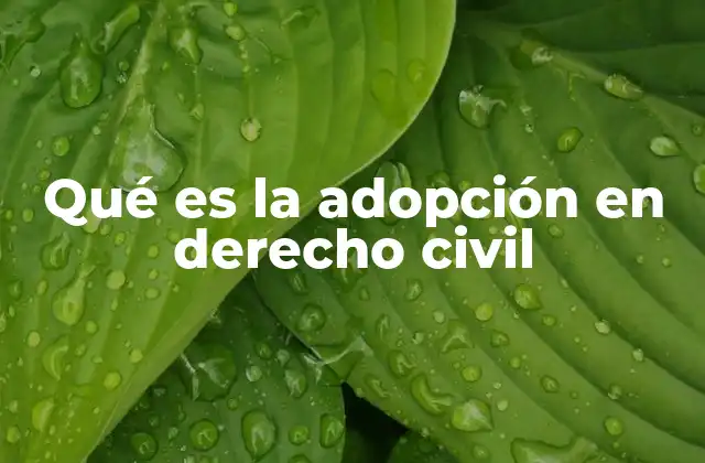 Qué es la Adopción en Derecho Civil