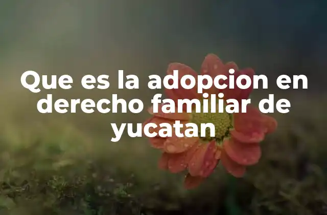 Que es la Adopcion en Derecho Familiar de Yucatan