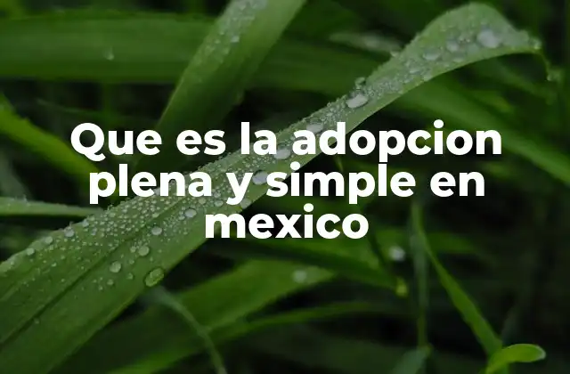 Que es la Adopcion Plena y Simple en Mexico
