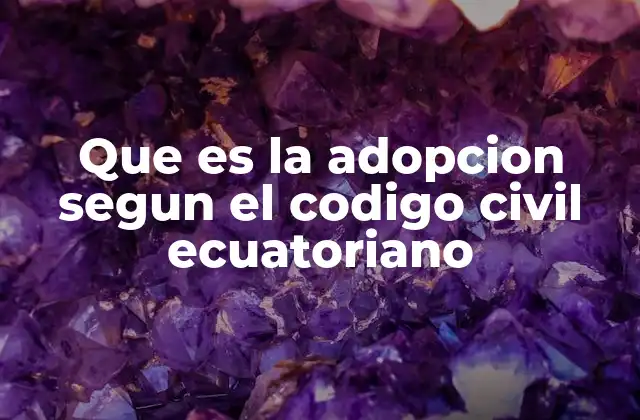 Que es la Adopcion Segun el Codigo Civil Ecuatoriano