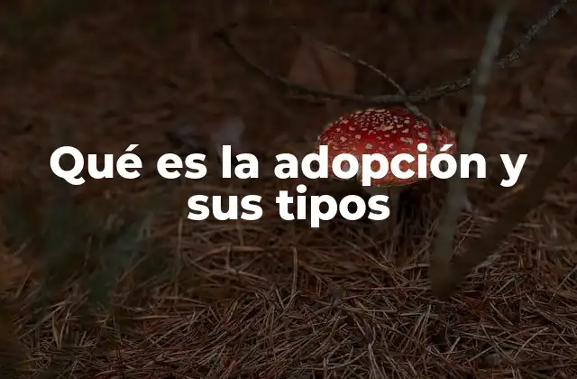 El proceso legal y emocional detrás de la adopción