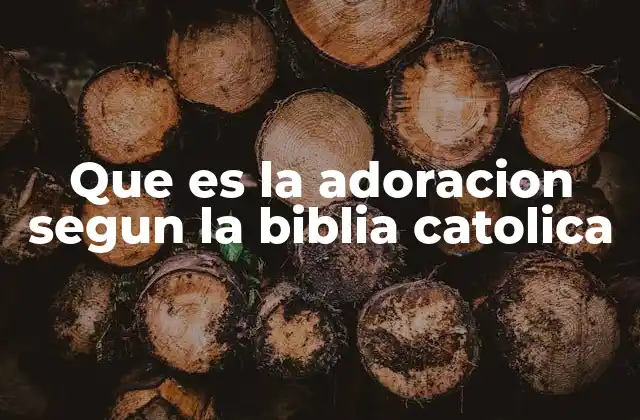 Que es la Adoracion Segun la Biblia Catolica