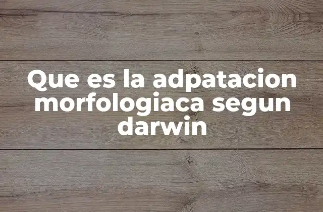 Que es la Adpatacion Morfologiaca Segun Darwin 2 Cómo la adaptación morfológica influye en la evolución