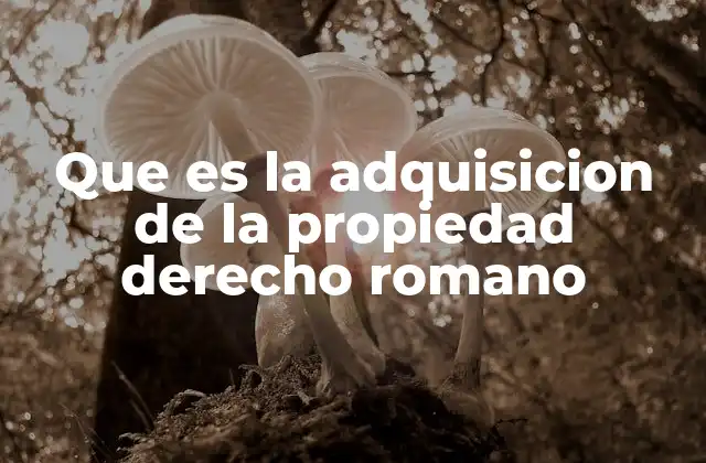Que es la Adquisicion de la Propiedad Derecho Romano