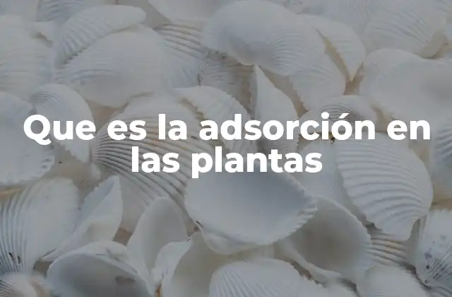 Que es la Adsorción en las Plantas