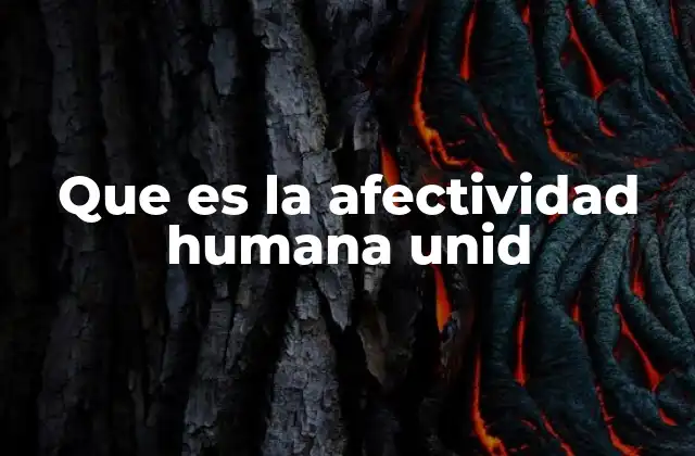 Que es la Afectividad Humana Unid