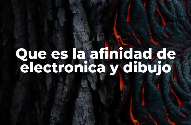 Que es la Afinidad de Electronica y Dibujo