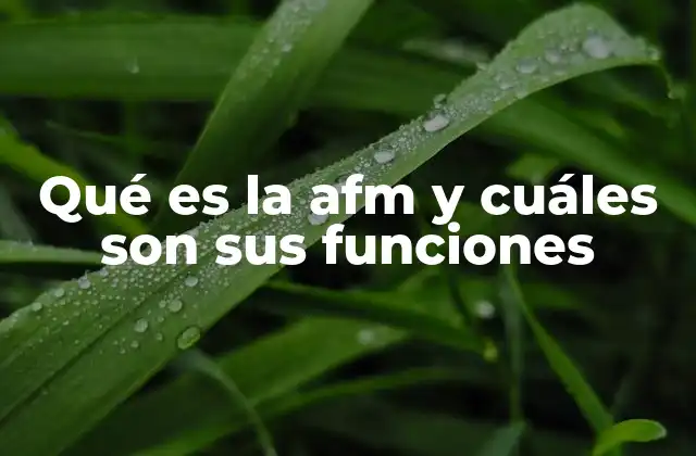 Qué es la Afm y Cuáles Son Sus Funciones