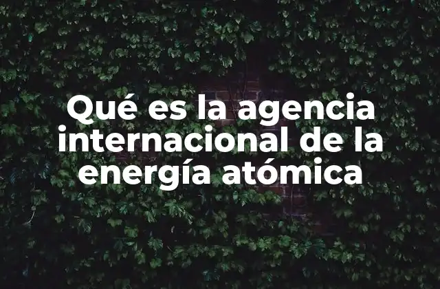Qué es la Agencia Internacional de la Energía Atómica