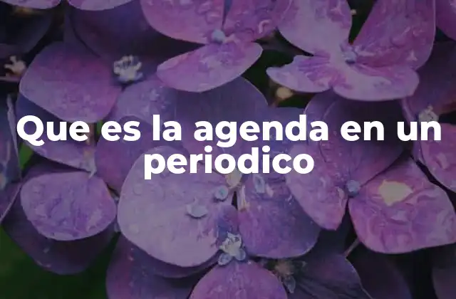 Que es la Agenda en un Periodico