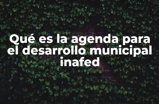 Qué es la Agenda para el Desarrollo Municipal Inafed
