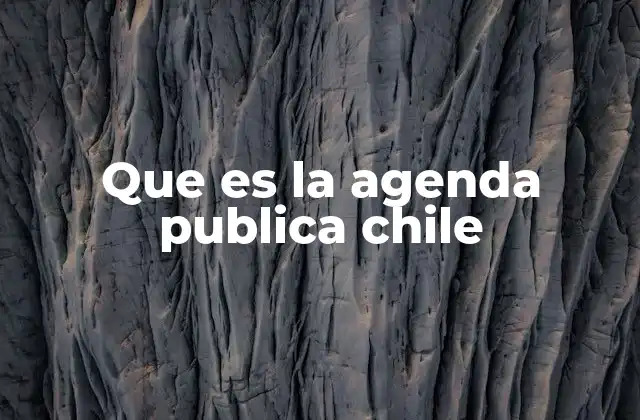 Que es la Agenda Publica Chile
