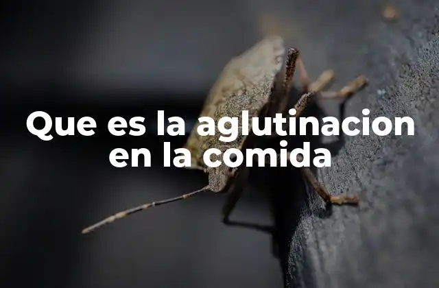 El papel de los ingredientes en la cohesión de los alimentos