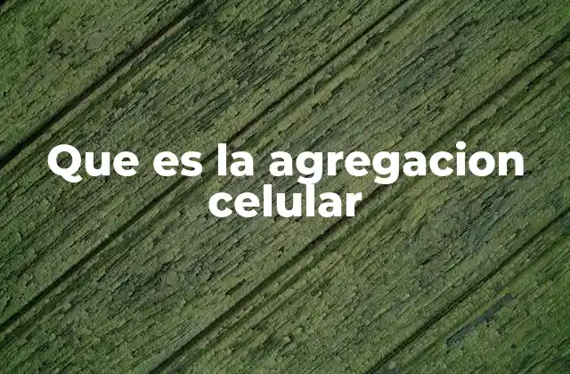 El papel de la comunicación celular en la formación de estructuras multicelulares