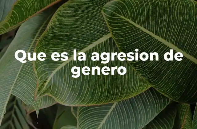 Que es la Agresion de Genero