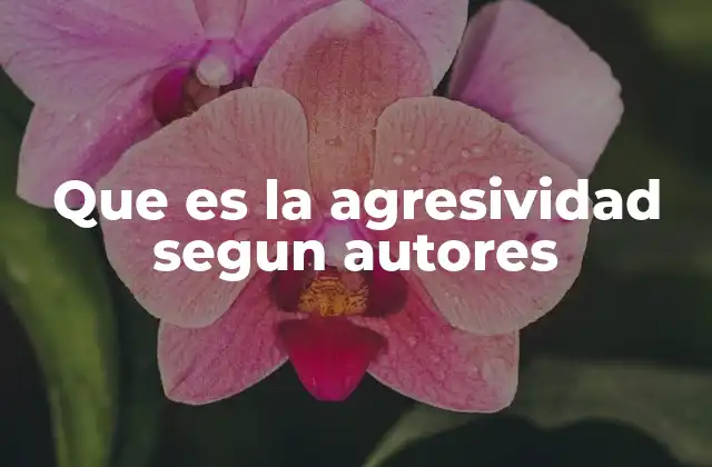 Que es la Agresividad Segun Autores