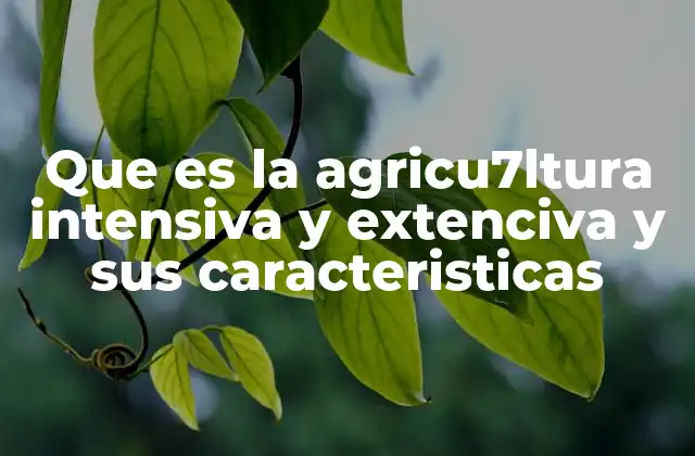 Que es la Agricu7ltura Intensiva y Extenciva y Sus Caracteristicas
