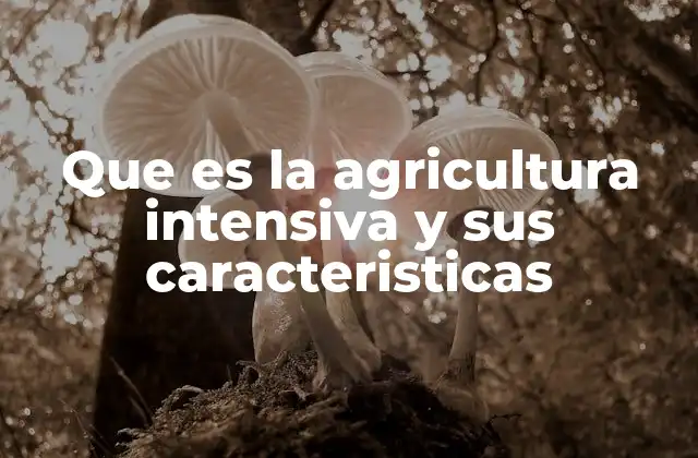 Que es la Agricultura Intensiva y Sus Caracteristicas