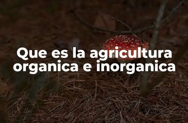 Que es la Agricultura Organica e Inorganica