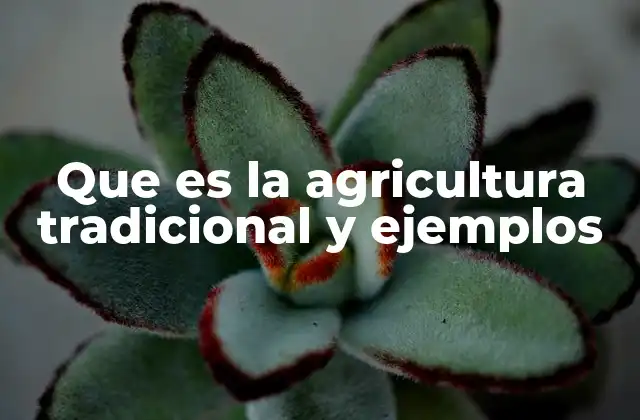 Que es la Agricultura Tradicional y Ejemplos